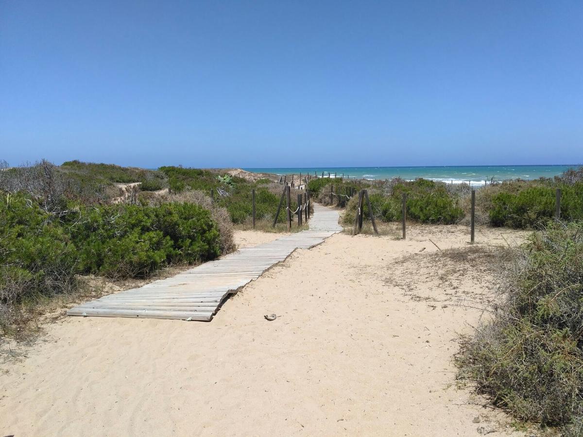 Luxury And Modern Beach Apartment With Sea Views La Mata  Exteriör bild